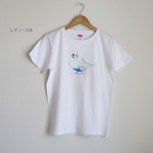 セキセイインコ 白ハルクイン Tシャツ / 鳥 インコ Tシャツ2025