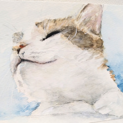 水彩画 イラスト イラスト 石蕗 通販 16795932｜Creema(クリーマ)