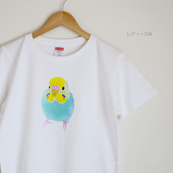 p-jet　セキセイインコ（レインボー ろうまくピンク）  Tシャツ　 / 鳥 インコ 1枚目の画像