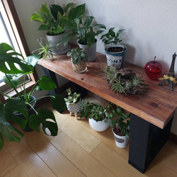 光触媒 人工観葉植物 ウォールグリーン フェイクグリーン サラサ