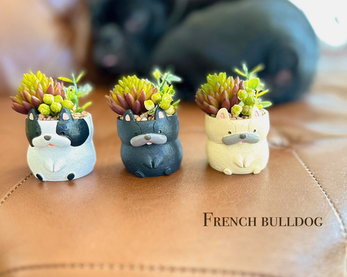 フレブル ミニグリーン寄せ植え フェイク フレンチブルドッグ 多肉植物