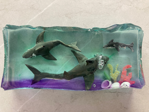 3 Sharks〜３匹のサメのPaperweight〜 2枚目の画像