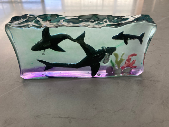 3 Sharks〜３匹のサメのPaperweight〜 8枚目の画像