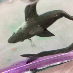 3 Sharks〜３匹のサメのPaperweight〜 7枚目の画像