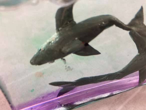 3 Sharks〜３匹のサメのPaperweight〜 7枚目の画像