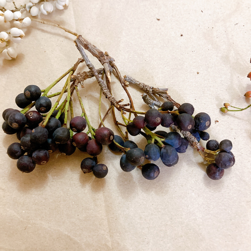 花材セット ナンキンハゼ 野イバラ シャリンバイの実 ドライフラワー