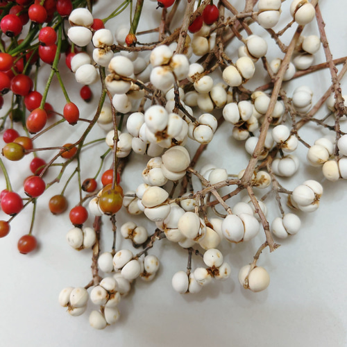 花材セット　ナンキンハゼ　シャリンバイ　ノイバラ 花材セット ナンキンハゼ 野イバラ シャリンバイの実 ドライフラワー