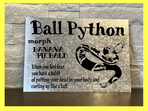ボールパイソン　ヘビ　爬虫類　オーダー看板　ペット 1枚目の画像