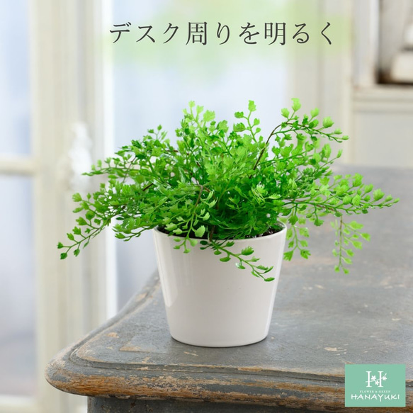 HANAYUKI フェイクグリーン アジアンタム 卓上サイズ 25cm 光触媒加工 人工観葉植物 4枚目の画像