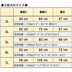  第12張的照片