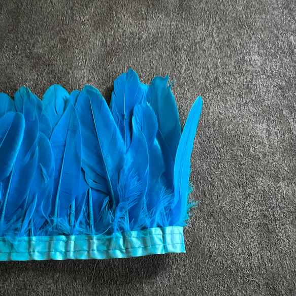【GFR17アクア】1m 羽根 フェザー テープ リボン  衣装 羽 装飾 バレエ ダンス 2枚目の画像