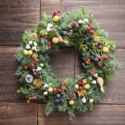 トキワガマズミの春のリース✳︎ドライフラワーwreathe◎22センチ