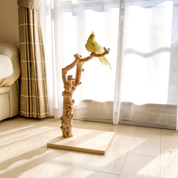 【流木の止まり木】鳥 インコ 複雑な節のフォルムが美しい止まり木 11枚目の画像