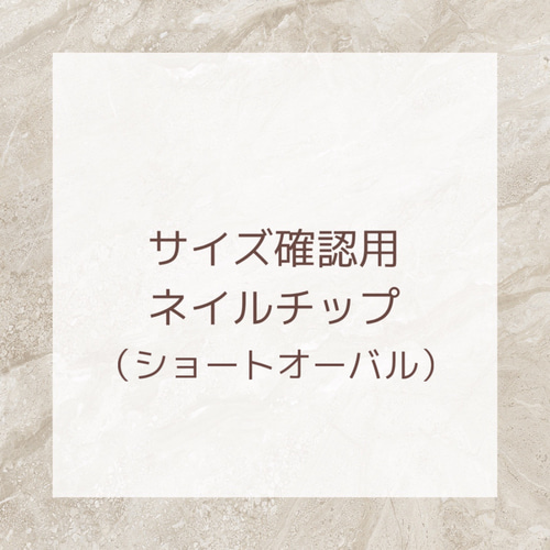 サイズ確認用ネイルチップ（ショートオーバル） ネイルチップ（つけ爪