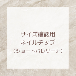 サイズ確認用ネイルチップ（ショートバレリーナ） ネイルチップ