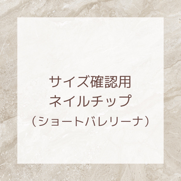 確認、ご質問用