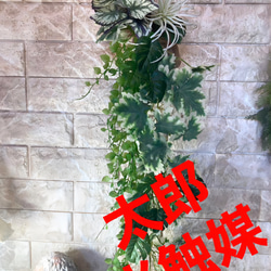 光触媒　人工観葉植物　ウォールグリーン　フェイクグリーン　壁掛け麻モンステラ 1枚目の画像