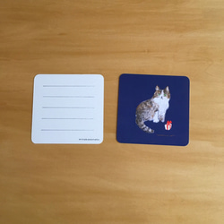 猫のもの「猫」メッセージカード8枚セット　Creema限定 3枚目の画像