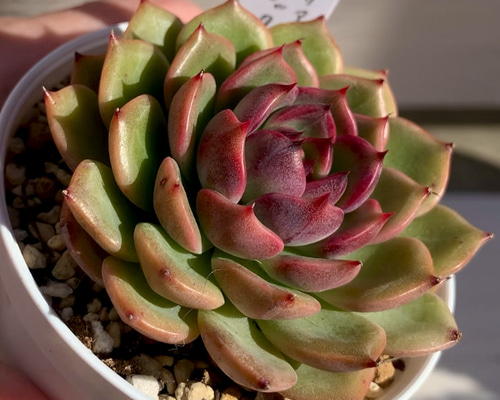 89e56aef65a3698ba83866f2bf2085