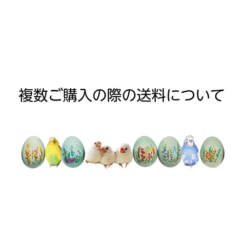 送料詳細のご案内 / 複数購入の際の送料、同梱など マスキングテープ 
