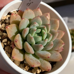 60e3068611e79795c78d3643bb571f