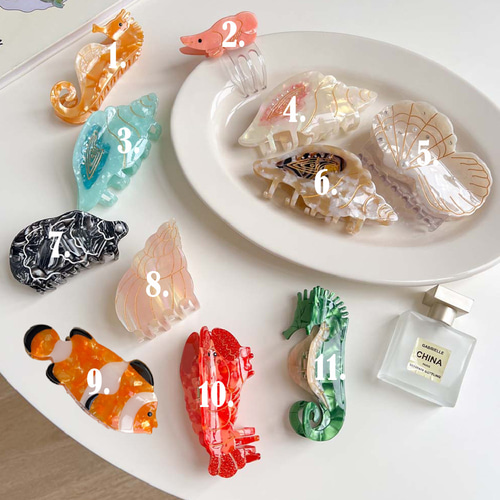 かわいくて優しい海の動物、魚、エビ、貝殻、ロブスター