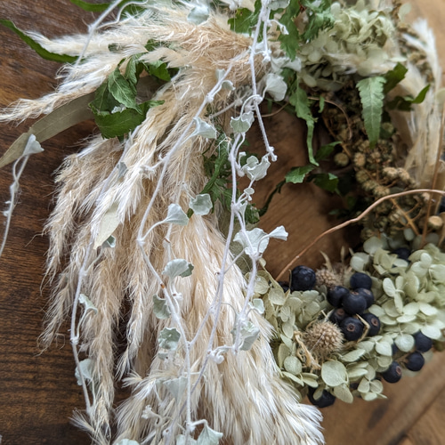 パンパス&ディコンドラ ドライフラワーリース ドライフラワー fu.wa