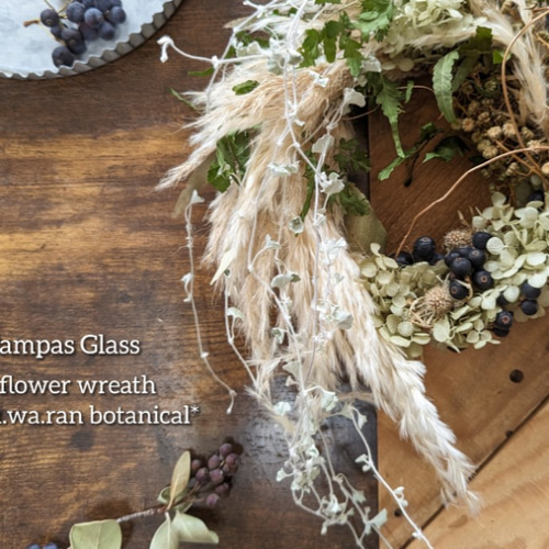 パンパス&ディコンドラ ドライフラワーリース ドライフラワー fu.wa