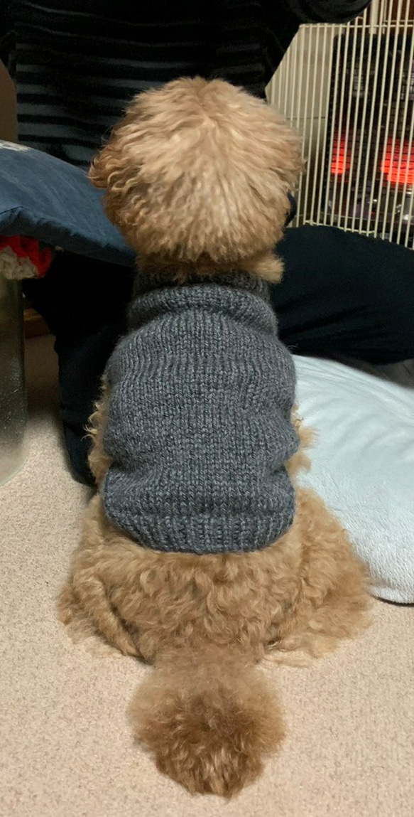 〈お年玉セール〉下記より2割引❤️犬用　色違い、サイズ違い有り。手編み毛糸セーター 7枚目の画像