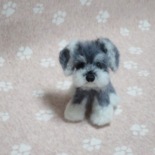 オーダーメイド】シュナウザーとチワワのミックス犬の羊毛