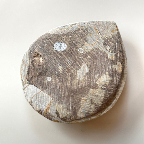 アンモナイト (Ammonite) 化石 研磨標本・カボション（ルース）16g 