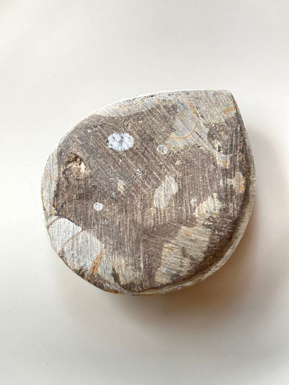 アンモナイト (Ammonite) 化石　研磨標本・カボション（ルース）16g 3枚目の画像