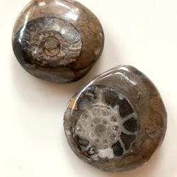 【守護の石】神居古潭石『飛龍』☆ブラック☆ペンダントトップ　精麻より紐ネックレス 守護の石】神居古潭石『飛龍』☆ブラック☆ペンダントトップ 精