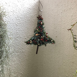 Creema限定クリスマス2023 クリスマスツリー　プリザーブ  (5) 2枚目の画像
