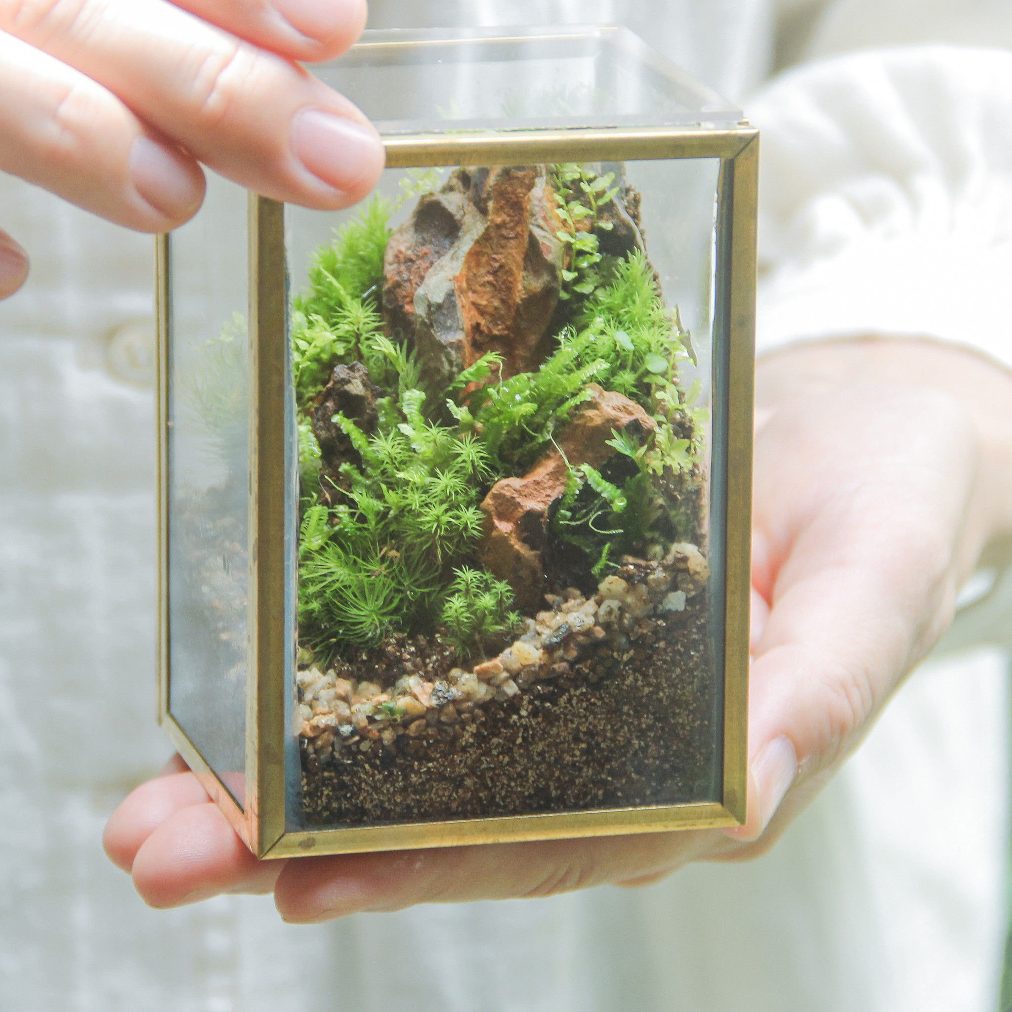 山岳の風景 メタルフレームS 【 フィギュア選択可 】《苔テラリウム完成品》