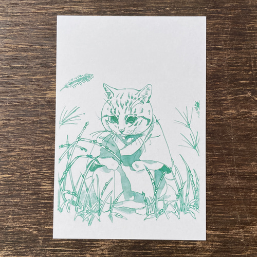 ぬ ページ イラスト ポストカード 楽天市場】【数量限定販売・売り切り】もんシリーズ ポスト