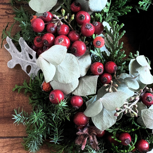 グリーン 赤い実 リース MS 17cm ＊ 針葉樹 ユーカリ ドライフラワー