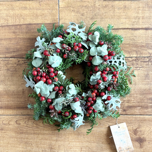 グリーン×赤い実 ナチュラル ドライフラワーリース MS 17cm ＊ 針葉樹