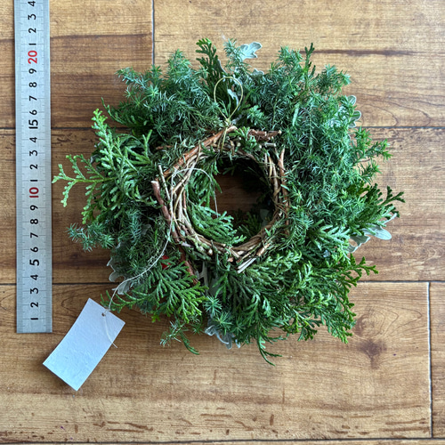 グリーン×赤い実 ナチュラル ドライフラワーリース MS 17cm ＊ 針葉樹