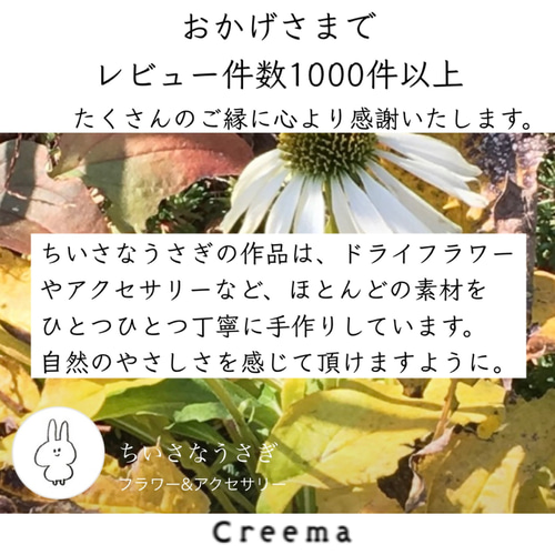 グリーン×赤い実 ナチュラル ドライフラワーリース MS 17cm ＊ 針葉樹