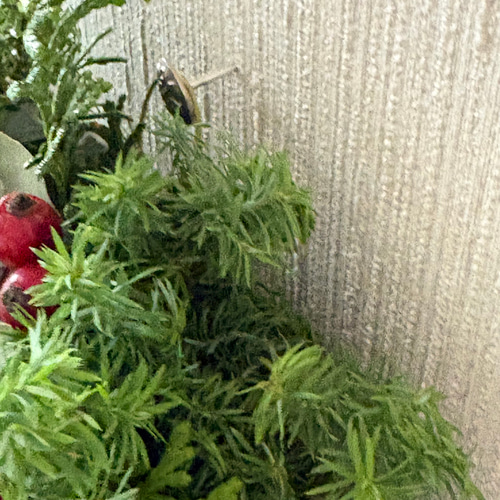 グリーン×赤い実 ナチュラル ドライフラワーリース MS 17cm ＊ 針葉樹