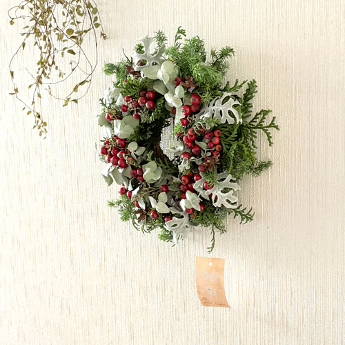 グリーン×赤い実 ナチュラル ドライフラワーリース MS 17cm ＊ 針葉樹