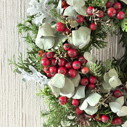 グリーン×赤い実 ナチュラル ドライフラワーリース MS 17cm ＊ 針葉樹