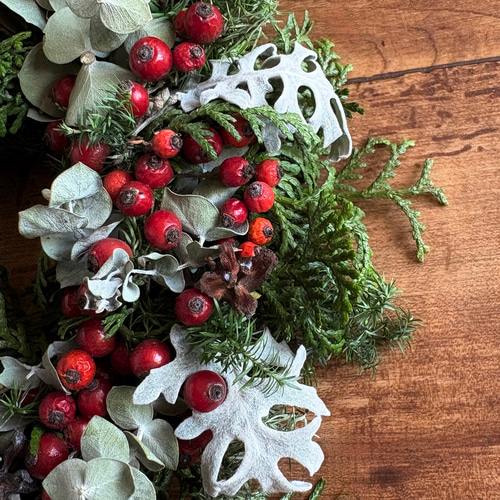 グリーン×赤い実 ナチュラル ドライフラワーリース MS 17cm ＊ 針葉樹