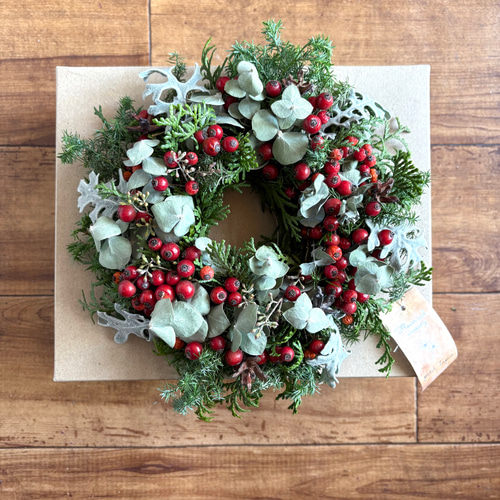 グリーン×赤い実 ナチュラル ドライフラワーリース MS 17cm ＊ 針葉樹