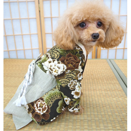 袴 はかま 和服 和装 和柄 七五三 イベント お正月 卒業式 犬 猫 袴 はかま 和服 和装 和柄 七五三 イベント お正月 卒業式 犬 猫