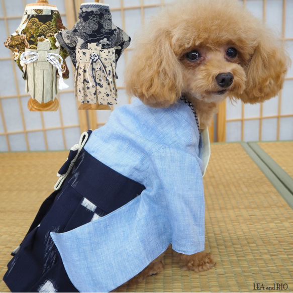 袴 はかま 和服 和装 和柄 七五三 イベント お正月 卒業式 犬 猫 袴 はかま 和服 和装 和柄 七五三 イベント お正月 卒業式 犬 猫