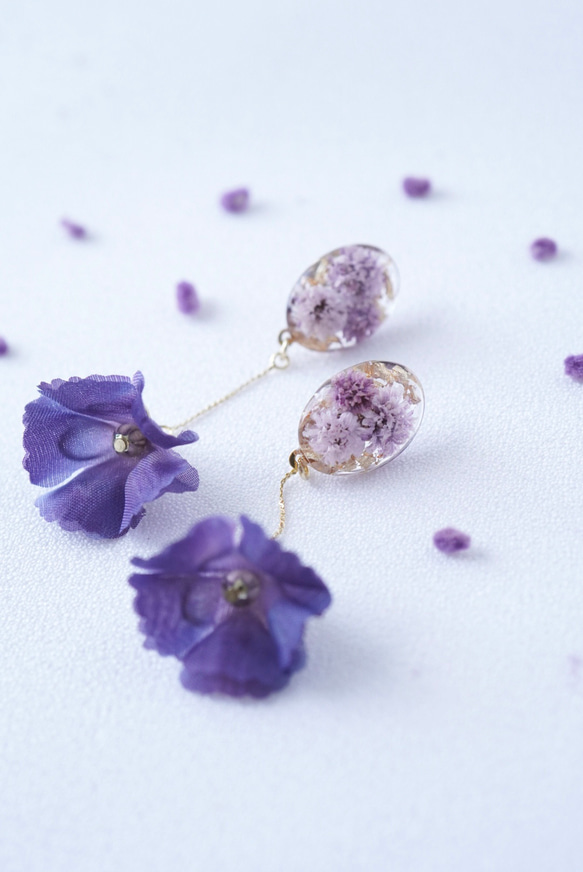 Enchante Blossom  -prima-  紫咲 11枚目の画像