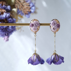 Enchante Blossom  -prima-  紫咲 1枚目の画像