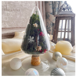 ガラスのクリスマスツリー【メッセージカード無料】 プリザーブド